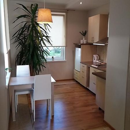 דירות Šiauliai Jaukus Butas Siauliu Miesto Centre מראה חיצוני תמונה