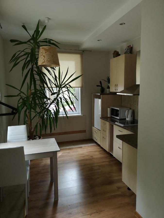 דירות Šiauliai Jaukus Butas Siauliu Miesto Centre מראה חיצוני תמונה